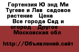 Гортензия Ю энд Ми Тугеве и Лав, садовое растение › Цена ­ 550 - Все города Сад и огород » Другое   . Московская обл.